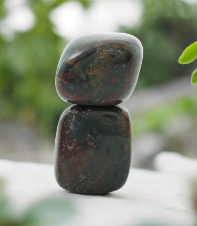 Bloodstone Tumble Set of 2 | Clean the Blockages of Heart