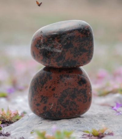 Mahogany Obsidian Tumble Set of 2 | Stimulate Growth