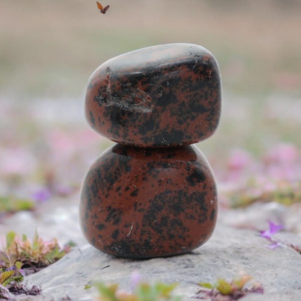 Mahogany Obsidian Tumble Set of 2 | Stimulate Growth